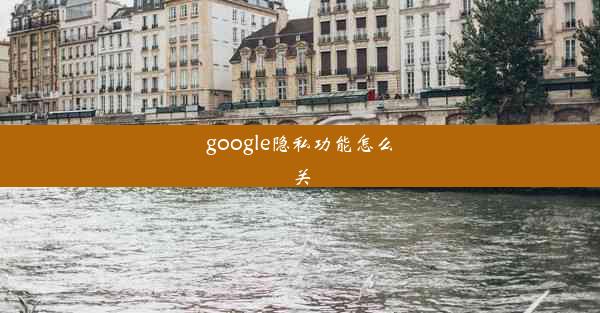 google隐私功能怎么关