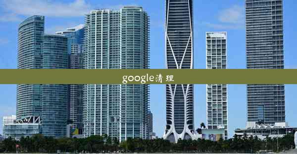 google清理