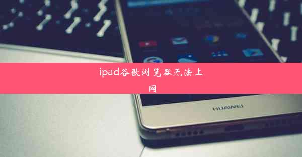 ipad谷歌浏览器无法上网