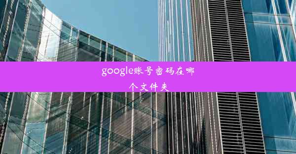 google账号密码在哪个文件夹