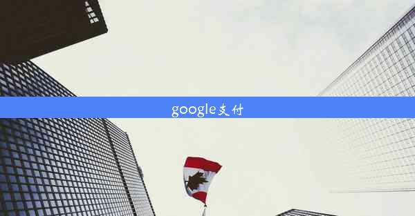 google支付