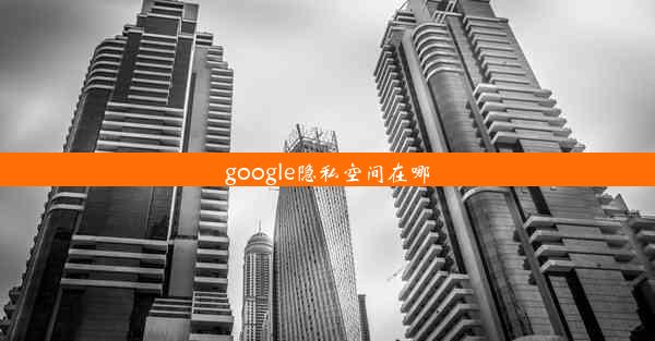 google隐私空间在哪