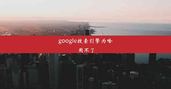 google搜索引擎为啥用不了