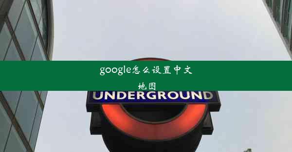 google怎么设置中文地图