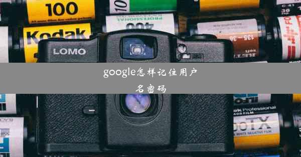 google怎样记住用户名密码