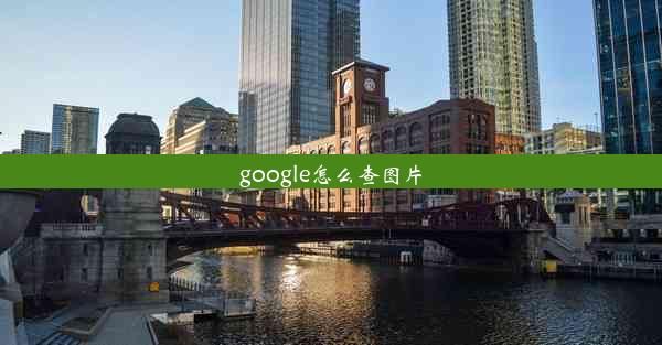 google怎么查图片