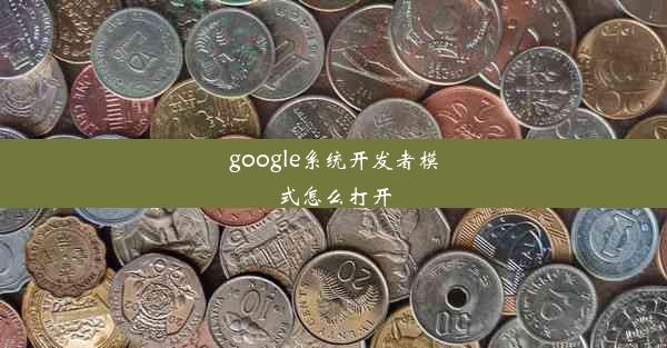 google系统开发者模式怎么打开