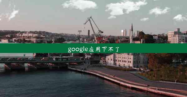 google应用下不了