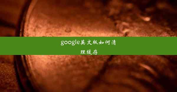 google英文版如何清理缓存