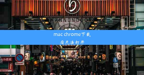 mac chrome下载后无法打开