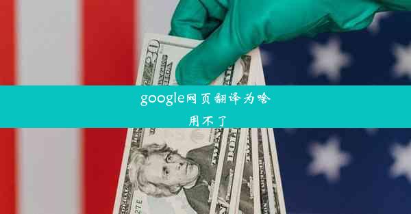 google网页翻译为啥用不了