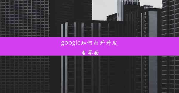 google如何打开开发者界面