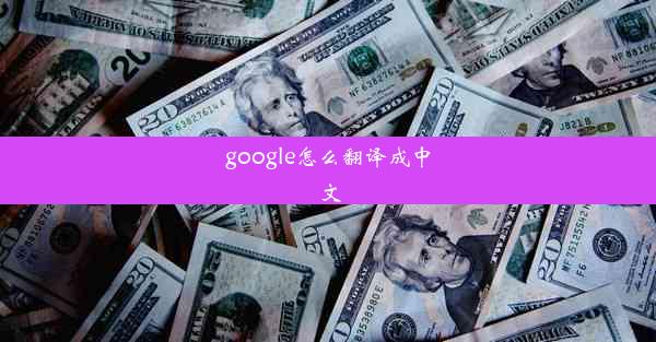 google怎么翻译成中文