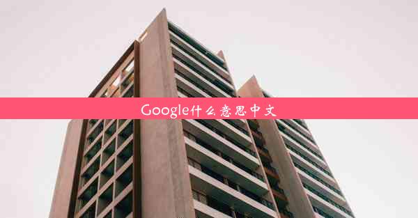 Google什么意思中文