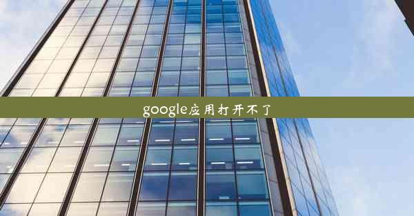 google应用打开不了