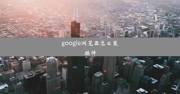 google浏览器怎么装插件