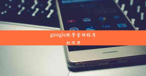 google账号管理程序打不开