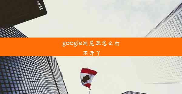 google浏览器怎么打不开了