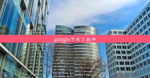 google下不了软件