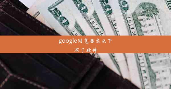 google浏览器怎么下不了软件