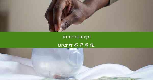 internetexplorer打不开网银