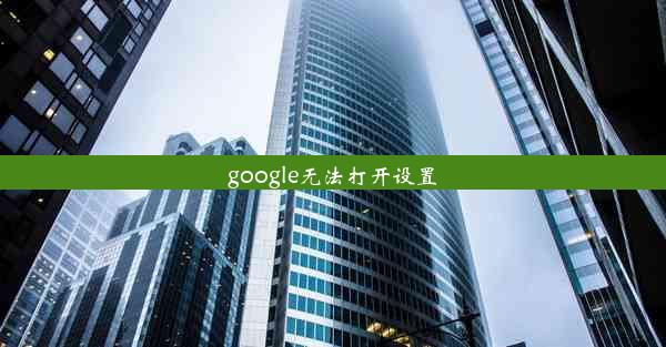 google无法打开设置