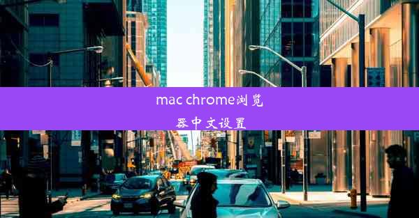 mac chrome浏览器中文设置