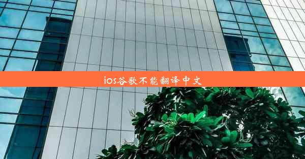 ios谷歌不能翻译中文