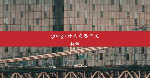 google什么意思中文翻译