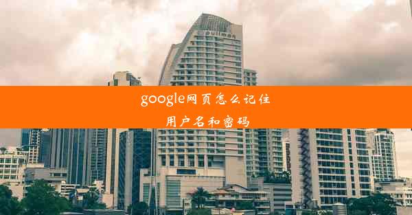 google网页怎么记住用户名和密码