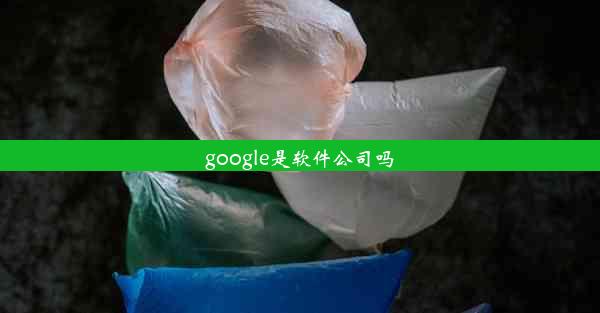 google是软件公司吗