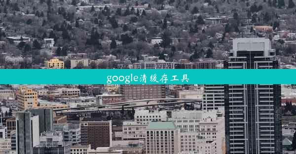 google清缓存工具