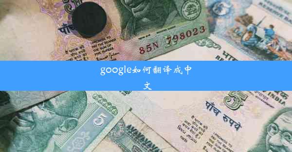 google如何翻译成中文