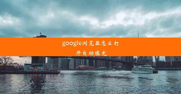 google浏览器怎么打开自动填充