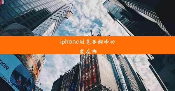 iphone浏览器翻译功能在哪